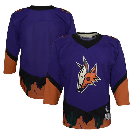 Custom A.Coyotes 2020-21 Special Edition Premier Jersey Purple Stitched American Hockey Jerseys